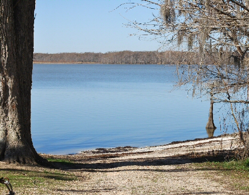Anahuac Texas Independence - Park Photos